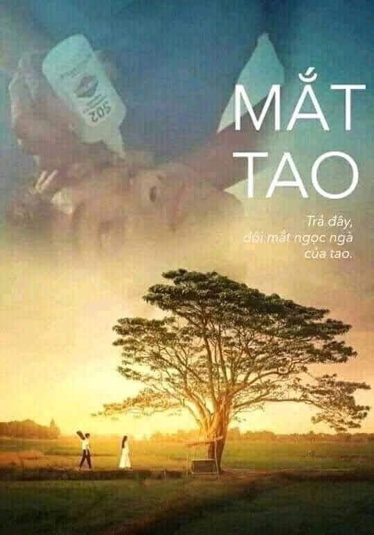 Meme ⚡ Ôi mắt tao – trả đây đôi mắt ngọc ngà của tao – nhỏ keo 502 nhại Mắt Biếc