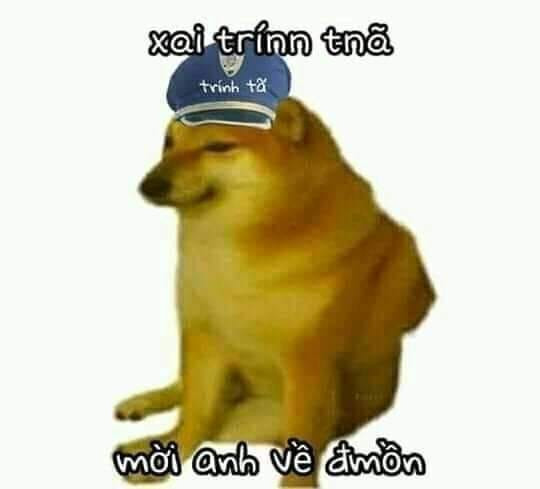 Meme ⚡ Chó cảnh sát chính tả cheems mời anh về đồn