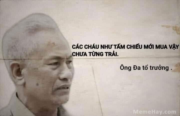 Meme ⚡ Các cháu như tấm chiếu mới mua vậy, chưa từng trải – Ông Đa tổ trưởng