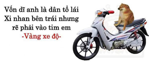 Meme ⚡ Vốn dĩ anh là dân tổ lái. Xi nhan bên trái nhưng rẽ phải vào tim em.