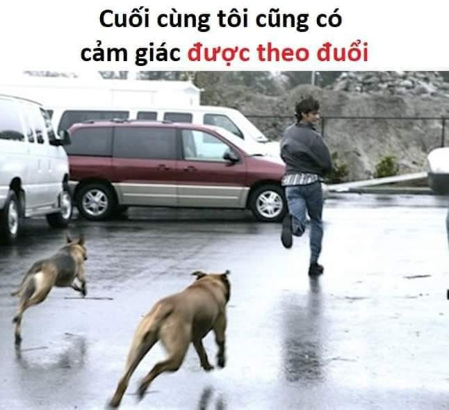 Meme ⚡ Bị chó đuổi – cảm giác được theo đuổi