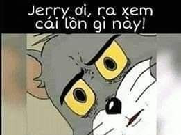 Meme ⚡ Jerry ơi ra xem cái lon gì này – mèo Tôm mắt vàng