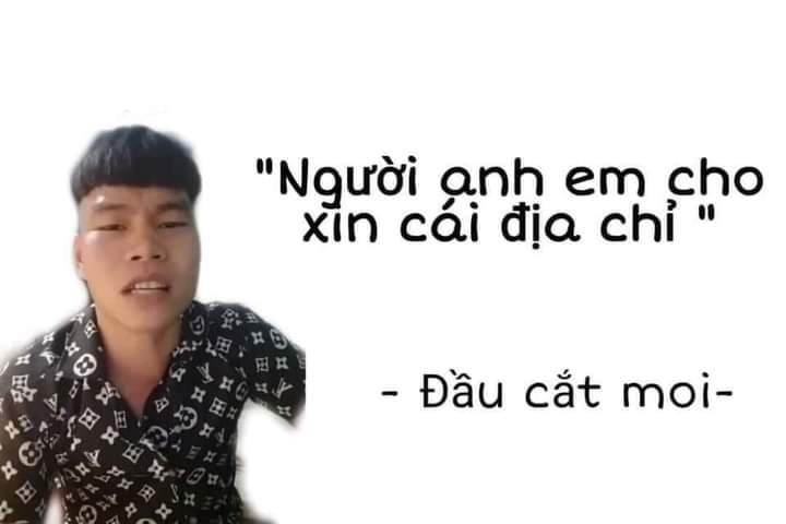 Meme ⚡ Người anh em cho xin cái địa chỉ – Đầu cắt moi meme