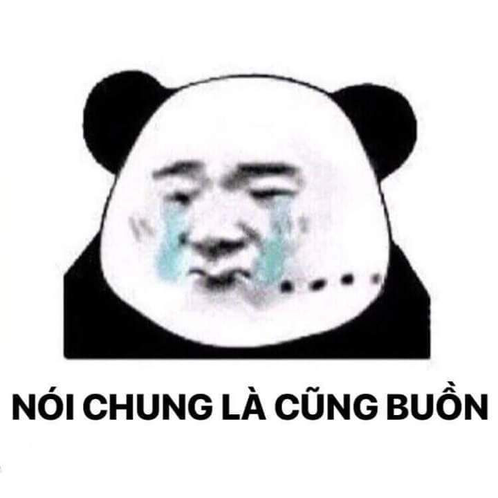 Meme ⚡ Nói chung là cũng buồn – Gấu trúc khóc