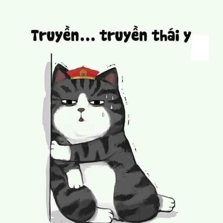 Meme ⚡ Truyền thái y gấp cho trẫm – Mèo suy sụp