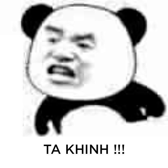 Meme ⚡ Ta khinh – Gấu khinh bỉ