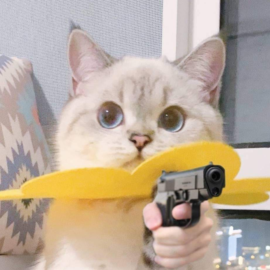 Meme ⚡ Mèo bắn súng