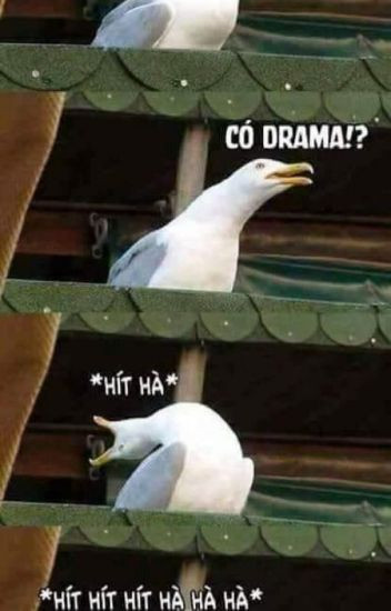 Meme ⚡ Chú chim vươn cổ hít hà drama