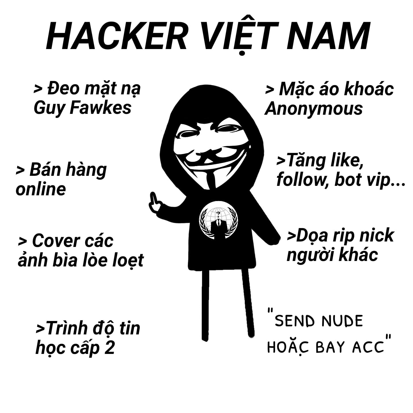 Meme ⚡ Toàn cảnh hacker Việt Nam