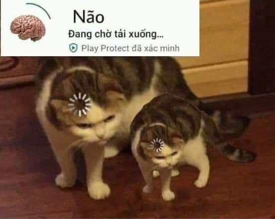 Meme ⚡ Đang chờ tải não xuống – 2 con mèo