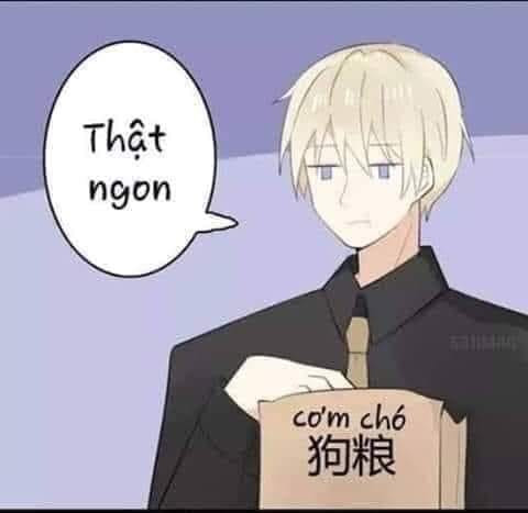 Meme ⚡ Hình ảnh anime ăn cơm chó nói “Thật ngon”