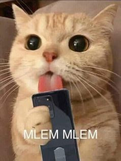 Meme ⚡ Mèo liếm điện thoại mlem mlem