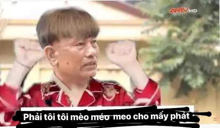 Meme ⚡ Phải tôi tôi mèo méo meo cho mấy phát