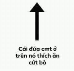 Meme ⚡ Ảnh có mũi tên chỉ cái đứa cmt ở trên nó thích ăn cứt bò