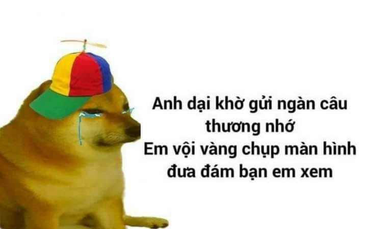 Meme ⚡ Anh dại khờ gửi ngàn câu thương nhớ, em vội vàng chụp màn hình đưa đám bạn em xem