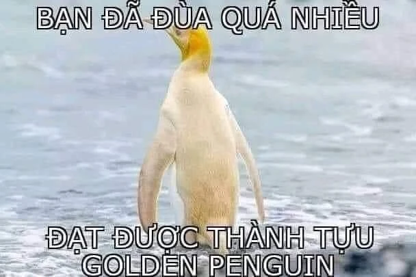 Meme ⚡ Bạn đã đùa quá nhiều, đạt được thành tựu Golden Penguin