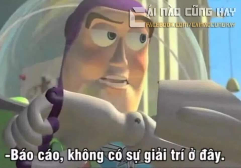 Meme ⚡ Báo cáo, không có sự giải trí ở đây!