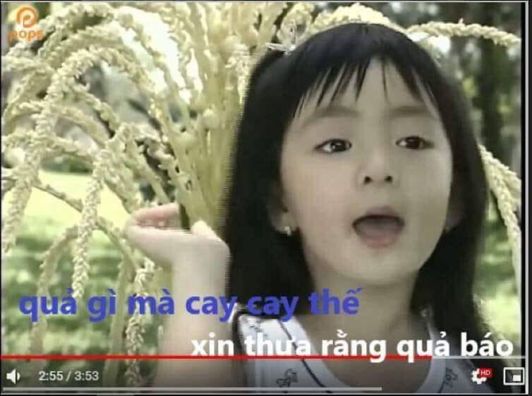 Meme ⚡ Bé Xuân Mai hát quả gì cay thế xin thưa rằng quả báo