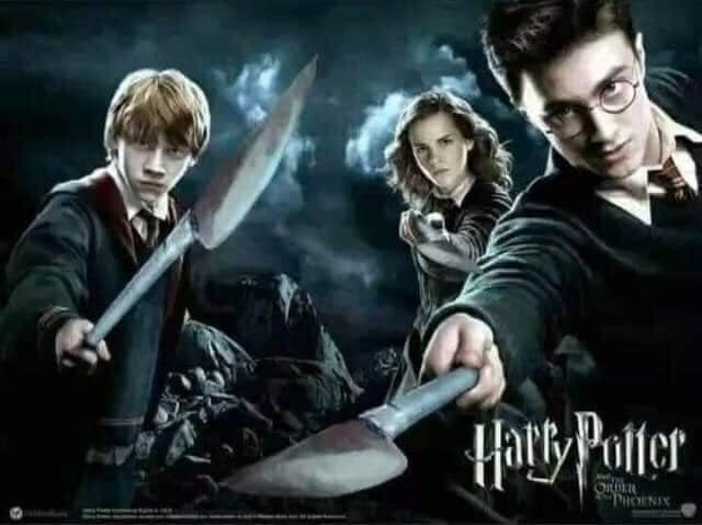 Meme ⚡ Bộ ba phép thuật Harry Potter cầm phóng lợn