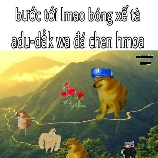 Meme ⚡ Bước tới lmao bóng xế tà, adu dảkwa đá chen hmoa