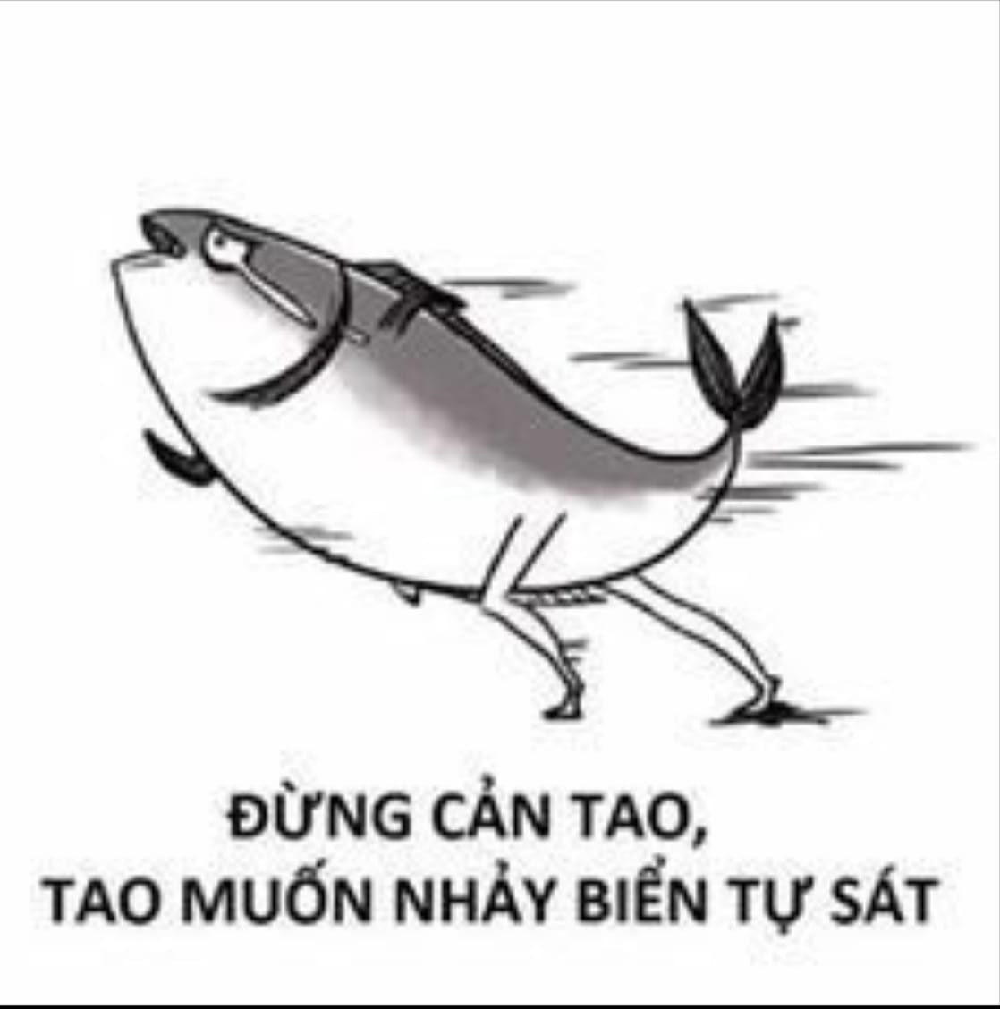 Meme ⚡ Cá có chân chạy – đừng cản tao, tao muốn ra biển tự sát