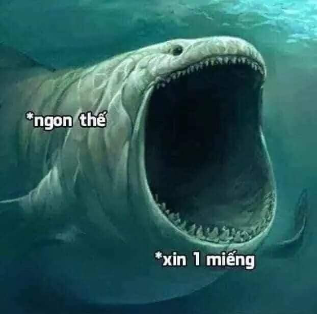 Meme ⚡ Cá mập há to mồm ngon thế, xin 1 miếng