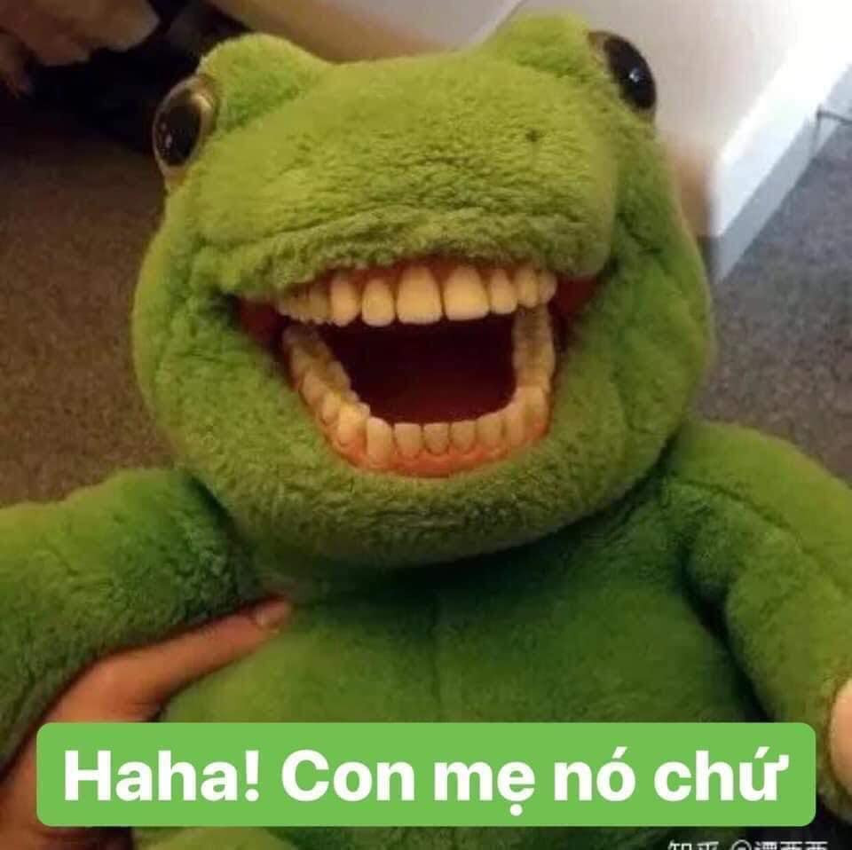 Meme ⚡ Cá sấu nhồi bông màu xanh cười nhe răng: haha con mẹ nó chứ