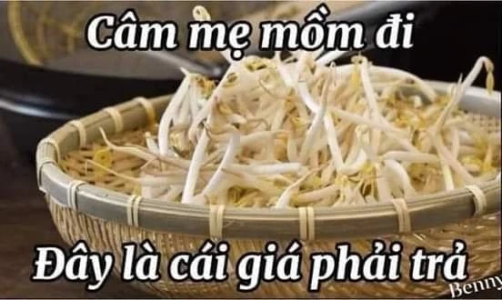 Meme ⚡ Câm mẹ mồm đi, đây là cái giá phải trả