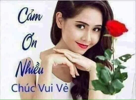 Meme ⚡ Cảm ơn nhiều, chúc vui vẻ – hình cô gái và bông hoa hồng