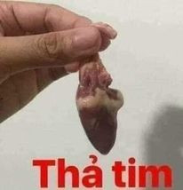 Meme ⚡ Cầm quả tim gà thả tim