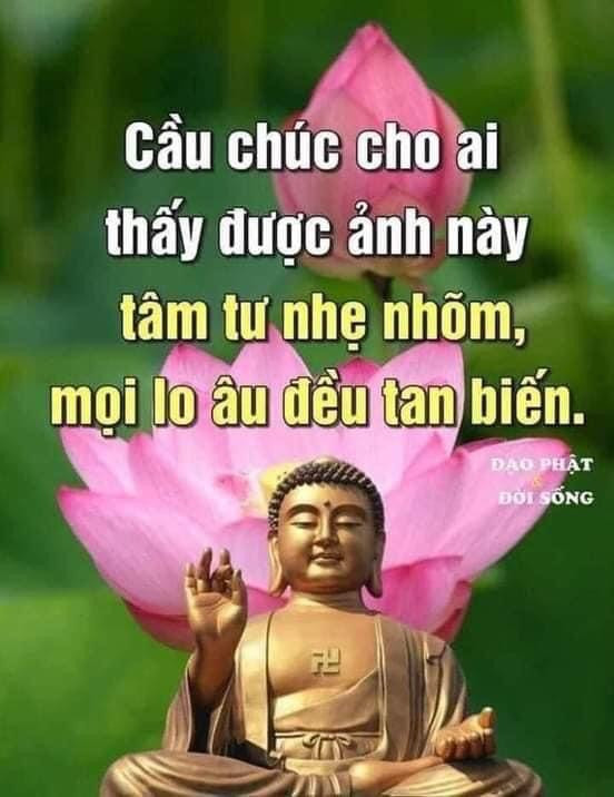 Meme ⚡ Cầu chúc cho ai thấy được ảnh này tâm tư nhẹ nhõm, mọi lo âu đều tan biến