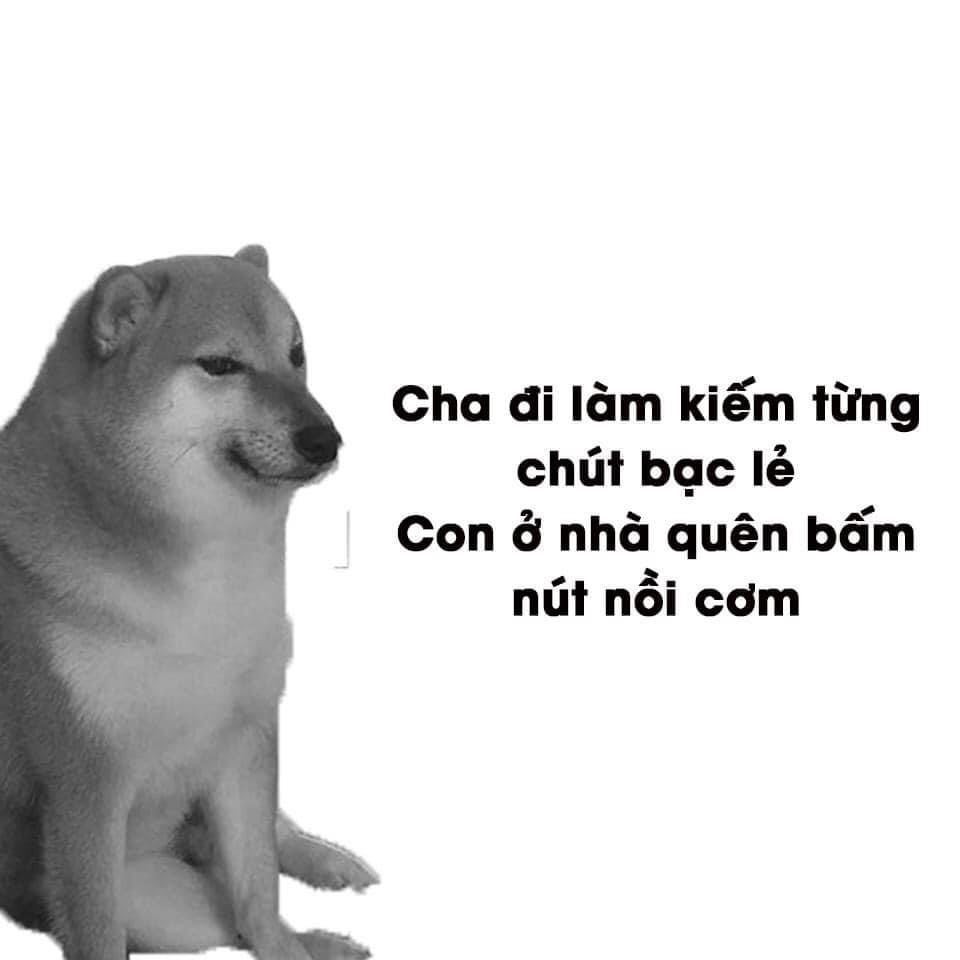 Meme ⚡ Cha đi làm kiếm từng chút bạc lẻ. Con ở nhà quên bấm nút nồi cơm