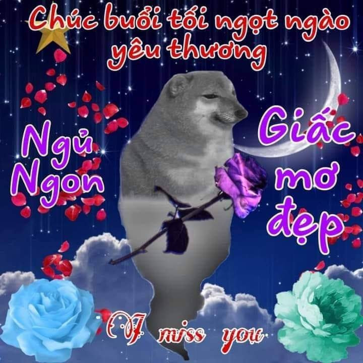 Meme ⚡ Cheems chúc buổi tối ngọt ngào yêu thương, ngủ ngon giấc mơ đẹp