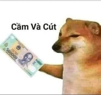 Meme ⚡ Cheems đưa tờ 500k: cầm và cút