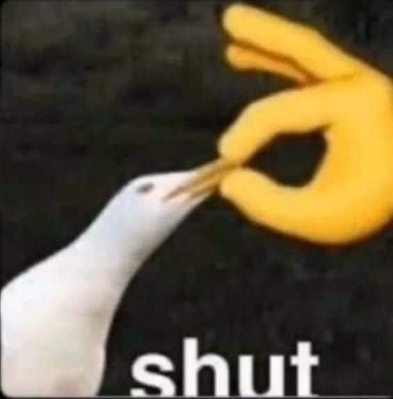 Meme ⚡ Chim bị bóp mồm: shut up!