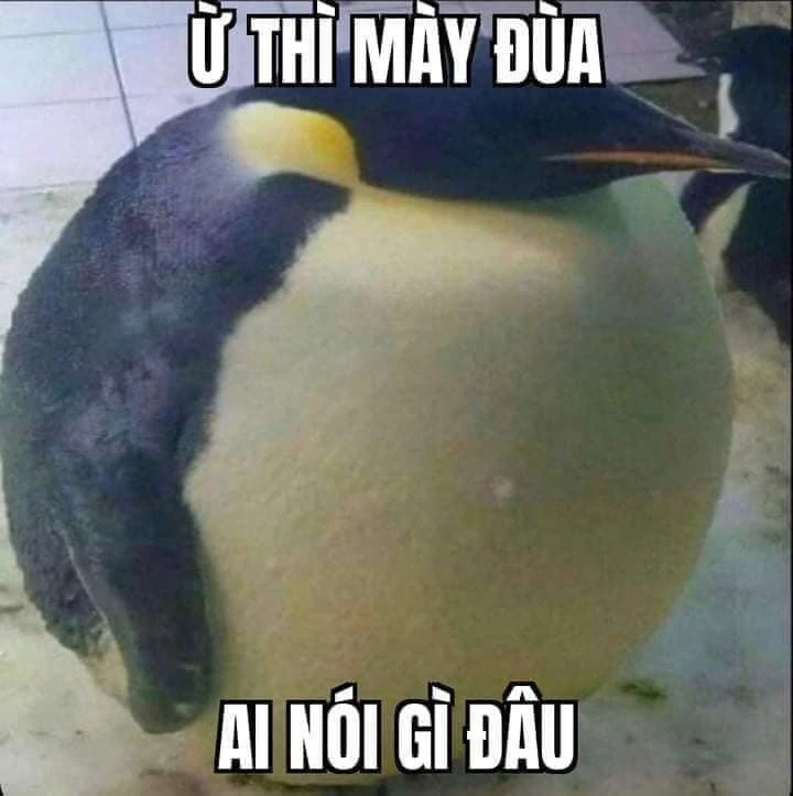 Meme ⚡ Chim cánh cụt căng tròn: ừ thì mày đùa ai nói gì đâu