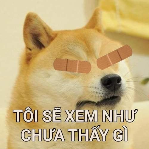 Meme ⚡ Chó bị che mắt: tôi sẽ xem như chưa thấy gì