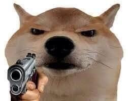Meme ⚡ Chó cầm súng chỉ vào người xem mặt dữ tợn