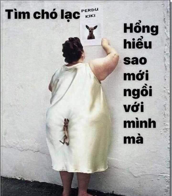 Meme ⚡ Chó dính vào mông bà béo đang tìm chó lạc