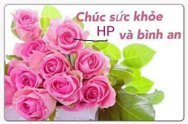 Meme ⚡ Chúc sức khỏe HP và bình an