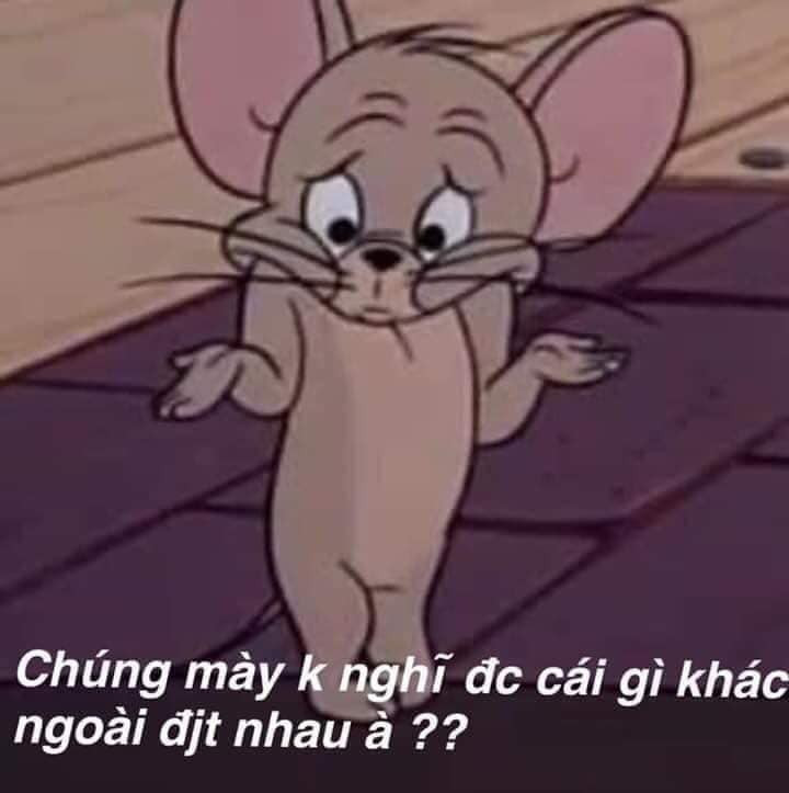 Meme ⚡ Chuột Jerry nhún vai nói chúng mày không nghĩ gì khác ngoài đit nhau à?