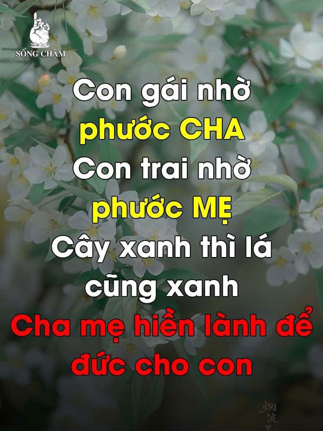 Meme ⚡ Con gái nhờ phước Cha, con trai nhờ phước Mẹ