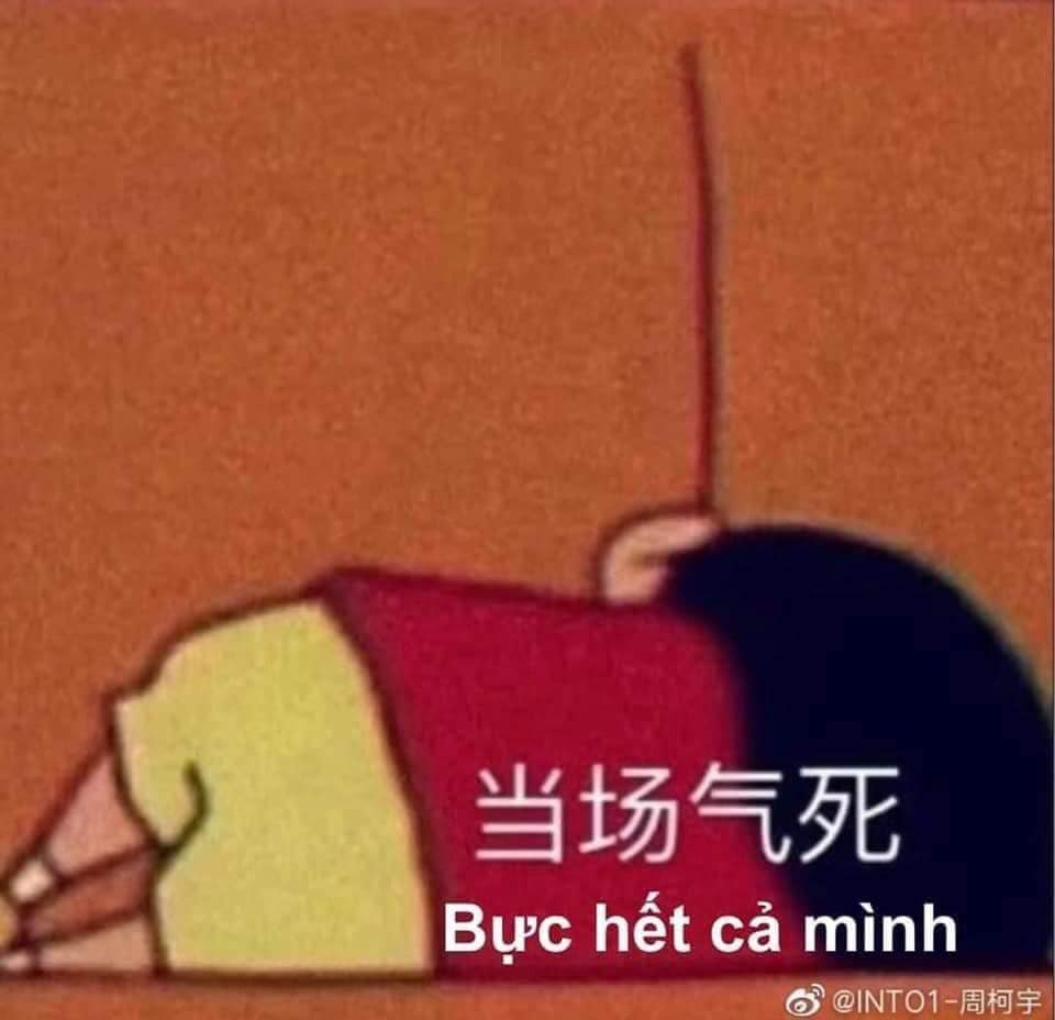 Meme ⚡ Cu Shin nằm bực hết cả mình