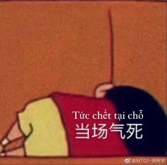 Meme ⚡ Cu Shin nằm tức chết tại chỗ