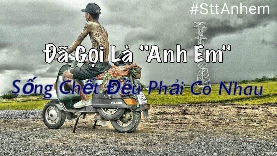 Meme ⚡ Đã gọi là anh em, sống chết đều phải có nhau