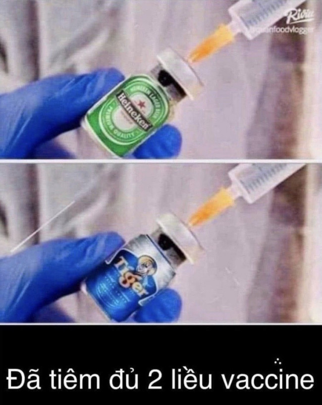 Meme ⚡ Đã tiêm đủ 2 liều vaccine: bia Heineken và bia Tiger – ảnh chế vacxin bia