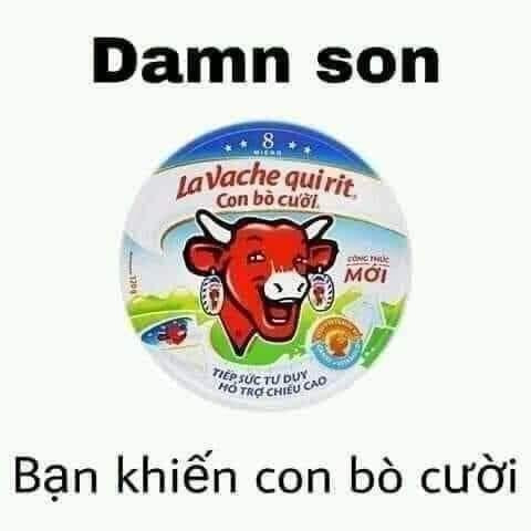 Meme ⚡ Damn son, bạn đã khiến con bò cười