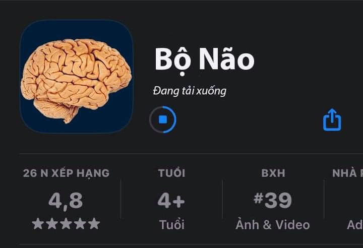 Meme ⚡ Đang tải xuống phần mềm bộ não