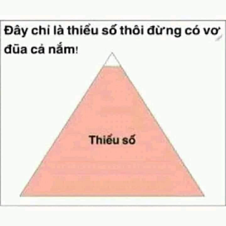 Meme ⚡ Đây chỉ là thiểu số thôi đừng có mà vơ đũa cả nắm