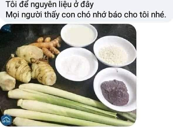 Meme ⚡ Tôi để nguyên liệu giềng sả mắm tôm ở đây, thấy con chó nhớ báo cho tôi nhé